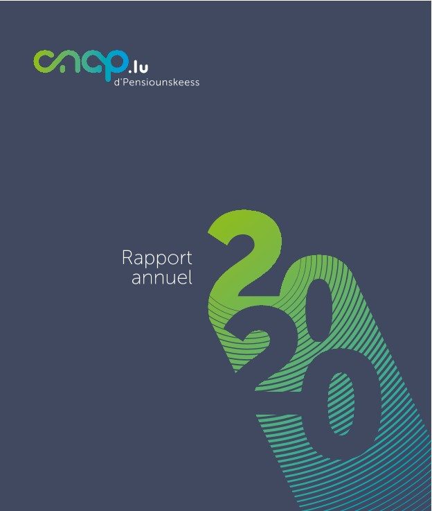 Rapport annuel 2020 de la CNAP